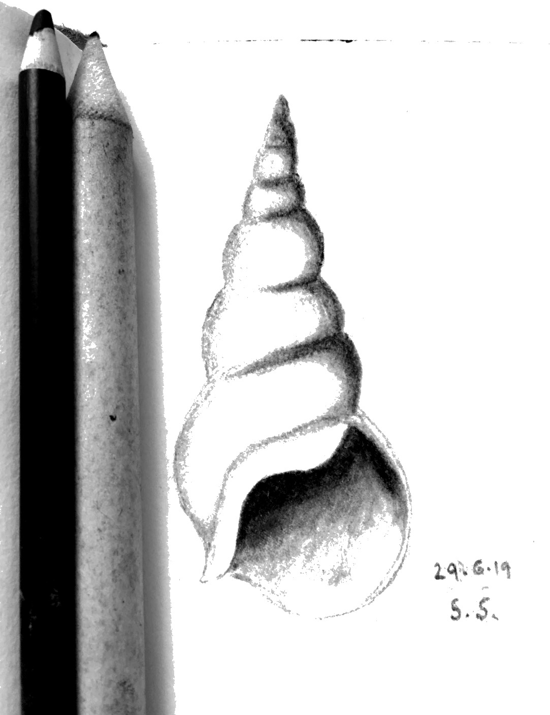Study III